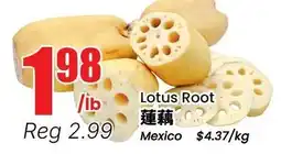 Btrust Supermarket Lotus Root offer