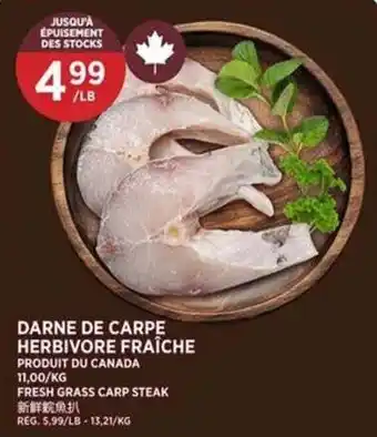 Fresh Grass Carp Steak
