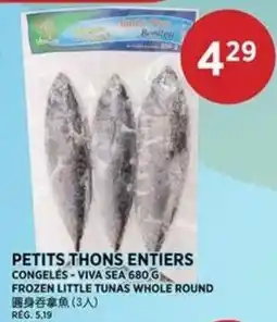Kim Phat Viva Sea frozen little tunas whole round offer