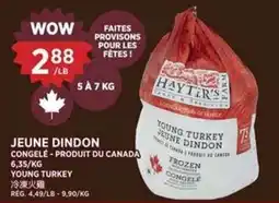 Kim Phat Hayt's young turkey offer