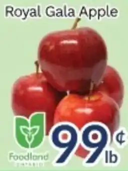 Oceans Fresh Food Market Royal Gala Apple offer