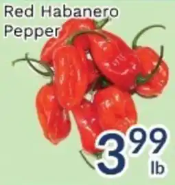 Oceans Fresh Food Market Red Habanero Pepper offer