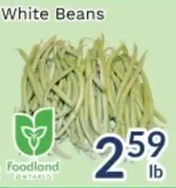 Oceans Fresh Food Market White Beans offer