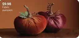 Walmart Fabric pumpkin offer