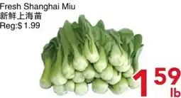 Yours Food Mart Fresh Shanghai Miu offer