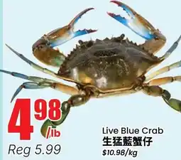 Btrust Supermarket Live Blue Crab offer