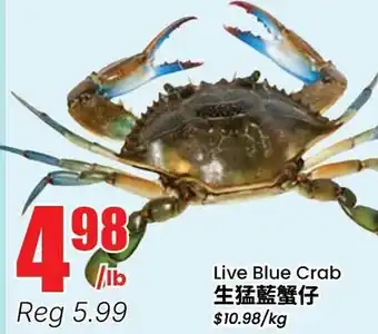 Live Blue Crab