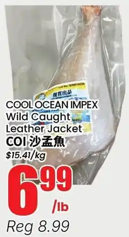 Btrust Supermarket Cool ocean impex leather jacket offer