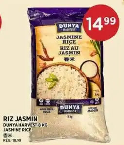 Kim Phat Dunya harvest jasmine rice offer