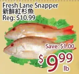 Sunny Food Mart Fresh Lane Snapper offer