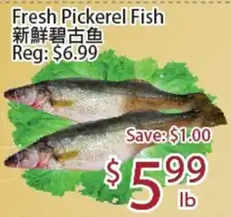 Sunny Food Mart Fresh Pickerel Fish offer