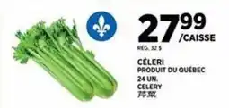 Kim Phat Celery offer