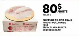 Kim Phat Redfish fresh tilapia fillets offer