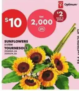 Atlantic Superstore Optimum sunflowers 5 stem offer