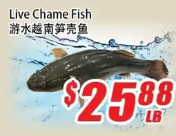 WinCo Food Mart Live Chame Fish offer