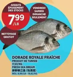 Kim Phat Dorade Royale Fraiche offer