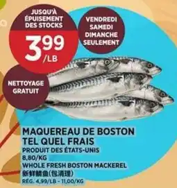 Kim Phat Whole Fresh Boston Mackerel offer