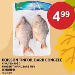 Kim Phat Viva Sea frozen tinfoil barb fish offer