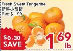 Yours Food Mart Fresh Sweet Tangerine offer