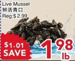 Yours Food Mart Live Mussel offer