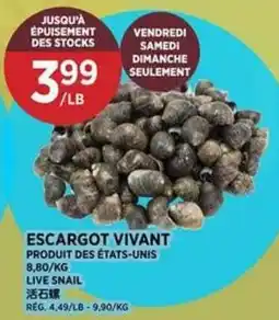Kim Phat Live Snail offer