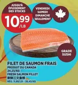 Kim Phat Fresh salmon fillet offer