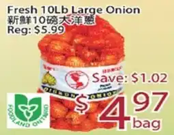 Sunny Food Mart Fresh Large Onion offer