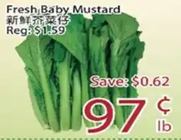 Sunny Food Mart Fresh Baby Mustard offer