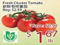 Sunny Food Mart Fresh Cluster Tomato offer