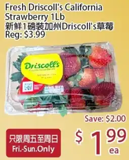 Sunny Food Mart Driscoll's strawberry offer
