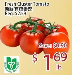 Sunny Food Mart Fresh Cluster Tomato offer