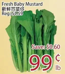 Sunny Food Mart Fresh Baby Mustard offer