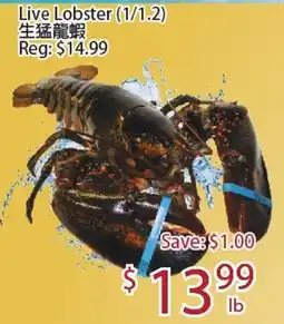 Sunny Food Mart Live Lobster offer