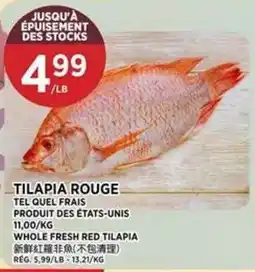 Kim Phat Tilapia rouge offer
