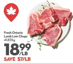 Longo's Lamb Loin Chops offer