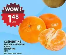 Kim Phat Clementine offer
