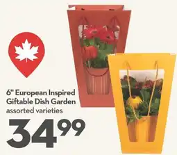 Longo's European Inspired Giftable Dish Garden offer
