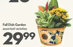 Longo's Fall Dish Garden offer