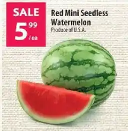 Co-op Red Mini Seedless Watermelon offer