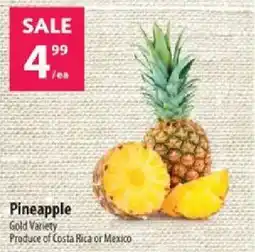 Co-op Pineapple Gold Variety offer