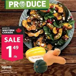 Co-op Squash offer