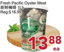 Yours Food Mart Pacific oyster meat offer