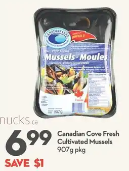 Longo's Canadian Cove Fresh Cultivated Mussels offer