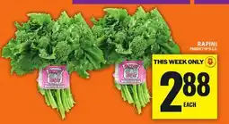 Food Basics RAPINI offer
