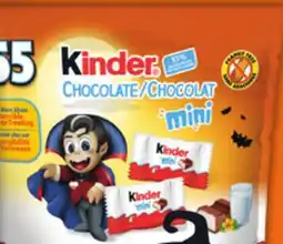 Food Basics MAYNARDS FUN TREATS 45'S KINDER MINI CHOCOLATE 55'S offer