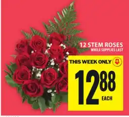 Food Basics 12 STEM ROSES offer