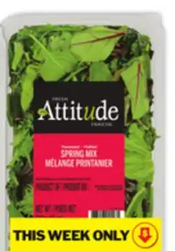 Food Basics ATTITUDE SALADS offer