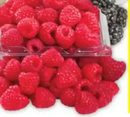 Food Basics RASPBERRIES offer