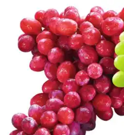 Food Basics GREEN OR RED SEEDLESS GRAPES offer