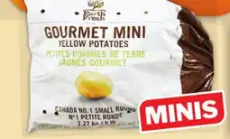 Food Basics SEEDLESS NAVEL ORANGES GOURMET MINI WHITE OR YELLOW POTATOES offer